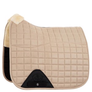 BR Majeur mit Lamm II Dressur